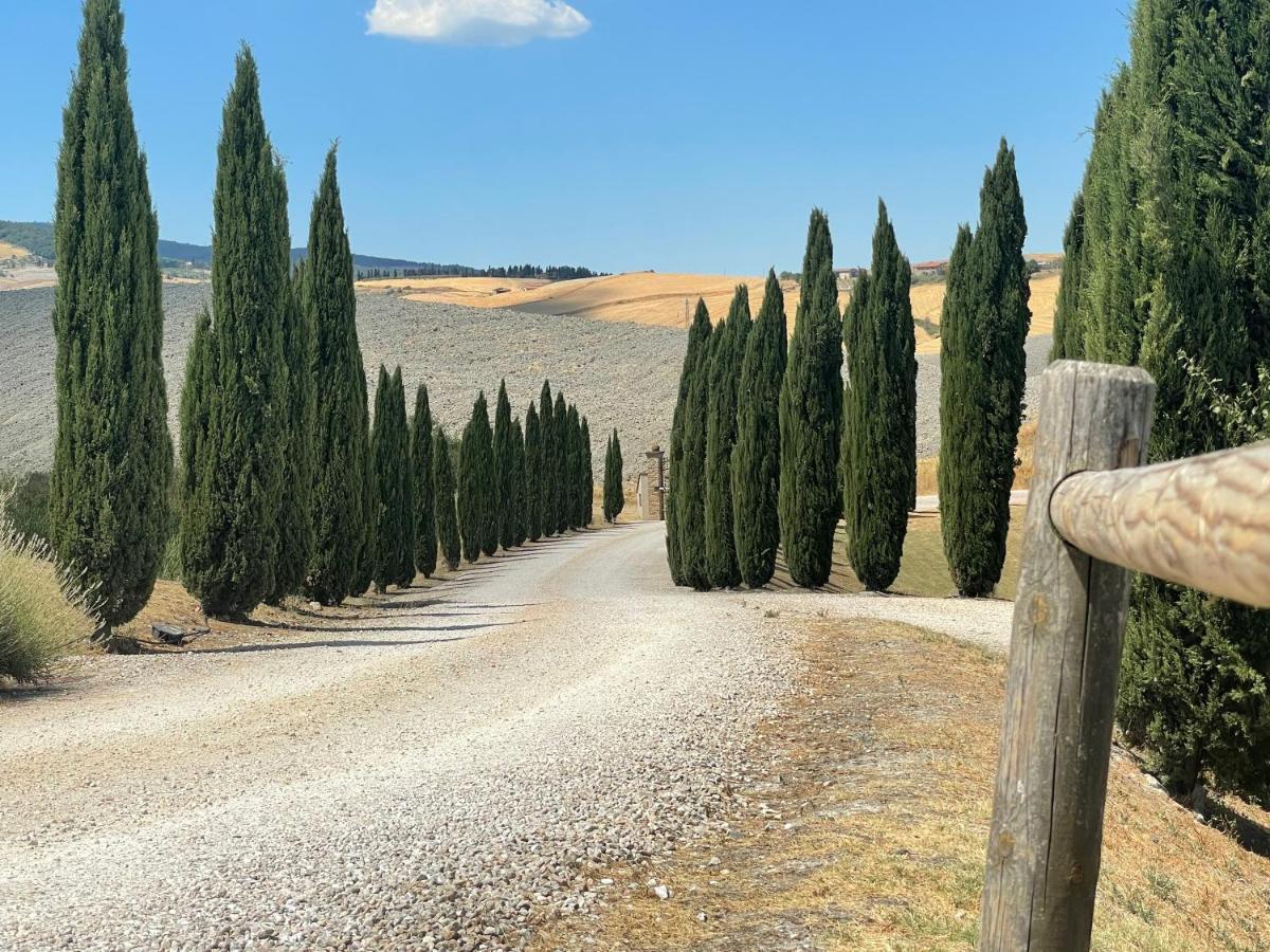 Podere Le Volpaie - Arancia Montecatini Val di Cecina Eksteriør billede
